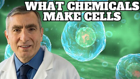 How Complex Is a Cell & What Chemicals Make Cells?