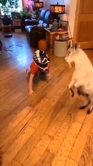 no more babysitting 🥰😂