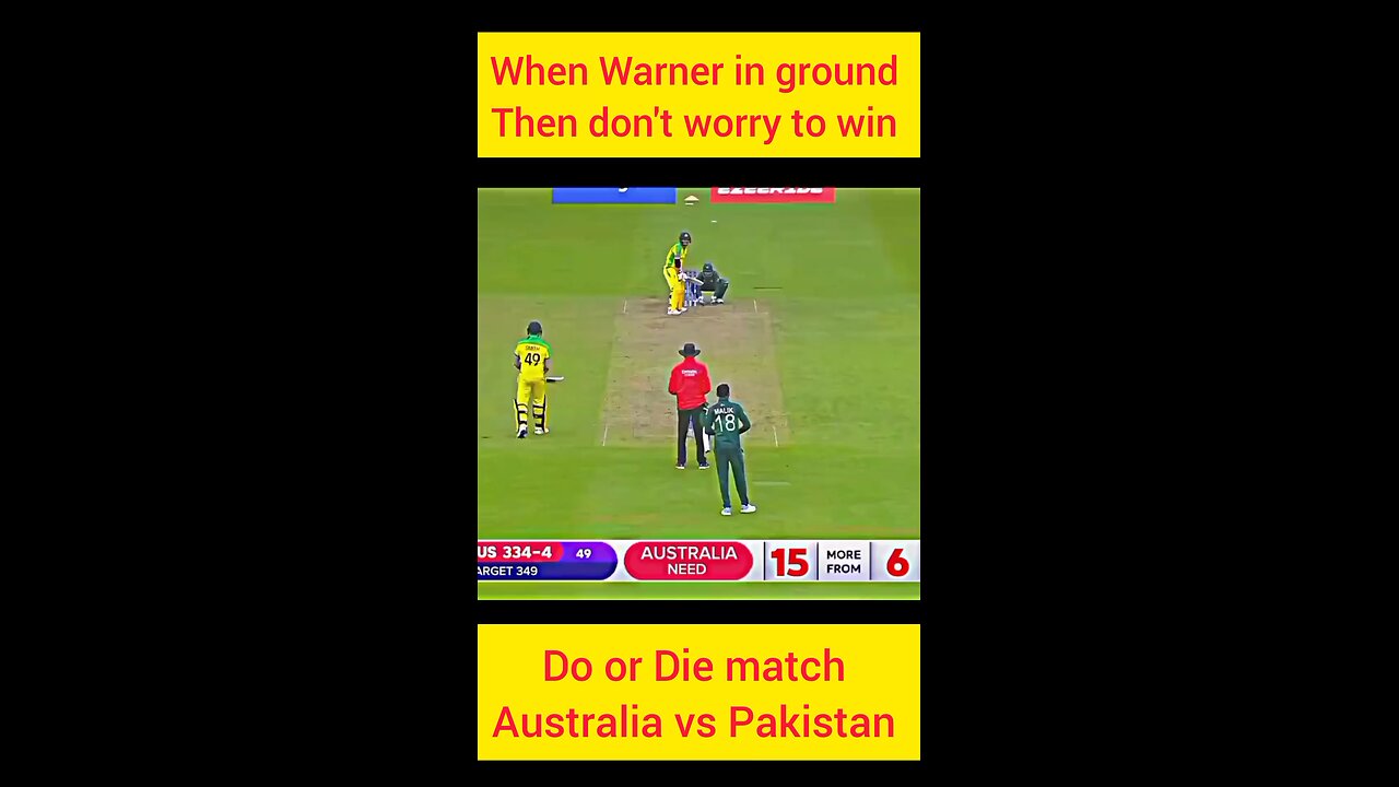 Master Blaster player David Warner
