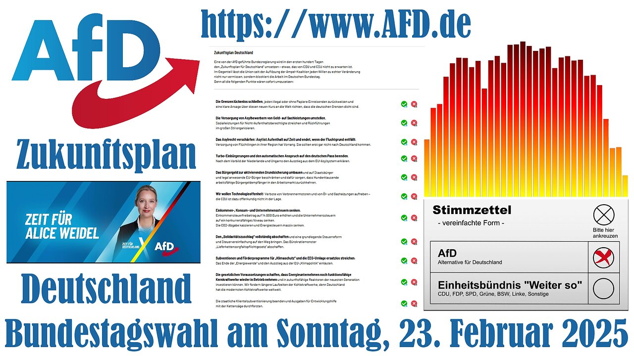 🎶 Alternative für Deutschland mit Zukunftsplan für Deutschland - Bundestagswahl am 23.02.2025 🗳