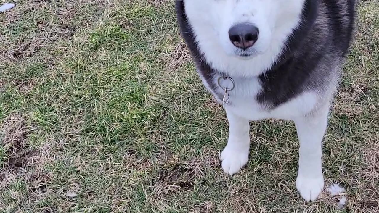 Play time