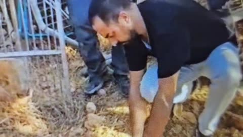 Four residents of East Jerusalem's Beit Safafa neighborhood, allegedly affiliated with the Islamic