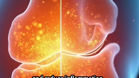 Natural Joint Supplements for Women - Benefits and Mechanisms