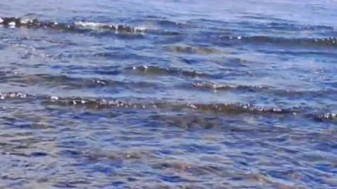 It's a seaside morning