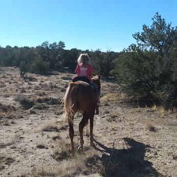 Riding horses with the Little lambs of the Lord, a wonderful horse