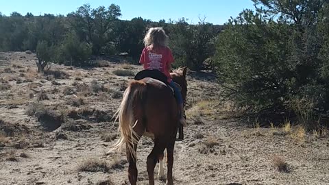 Riding horses with the Little lambs of the Lord, a wonderful horse