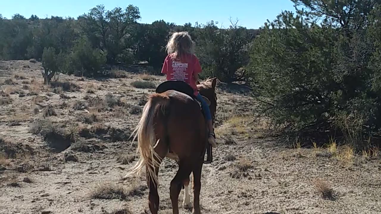 Riding horses with the Little lambs of the Lord, a wonderful horse