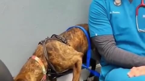 Kindness Knows No Bounds #shorts #shortvideo #video #virals #videoviral
