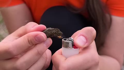 Shock!😱! GIRL uses cow POOP!🐄💩#camping #survival #bushcraft #outdoors #lifehack