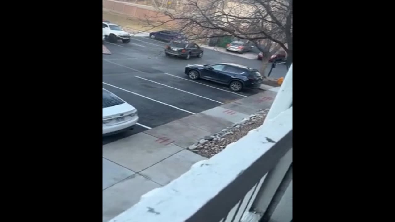 Apartment Complex Conflict