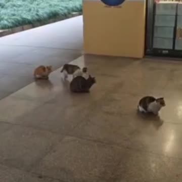 When someone tries to cut in line