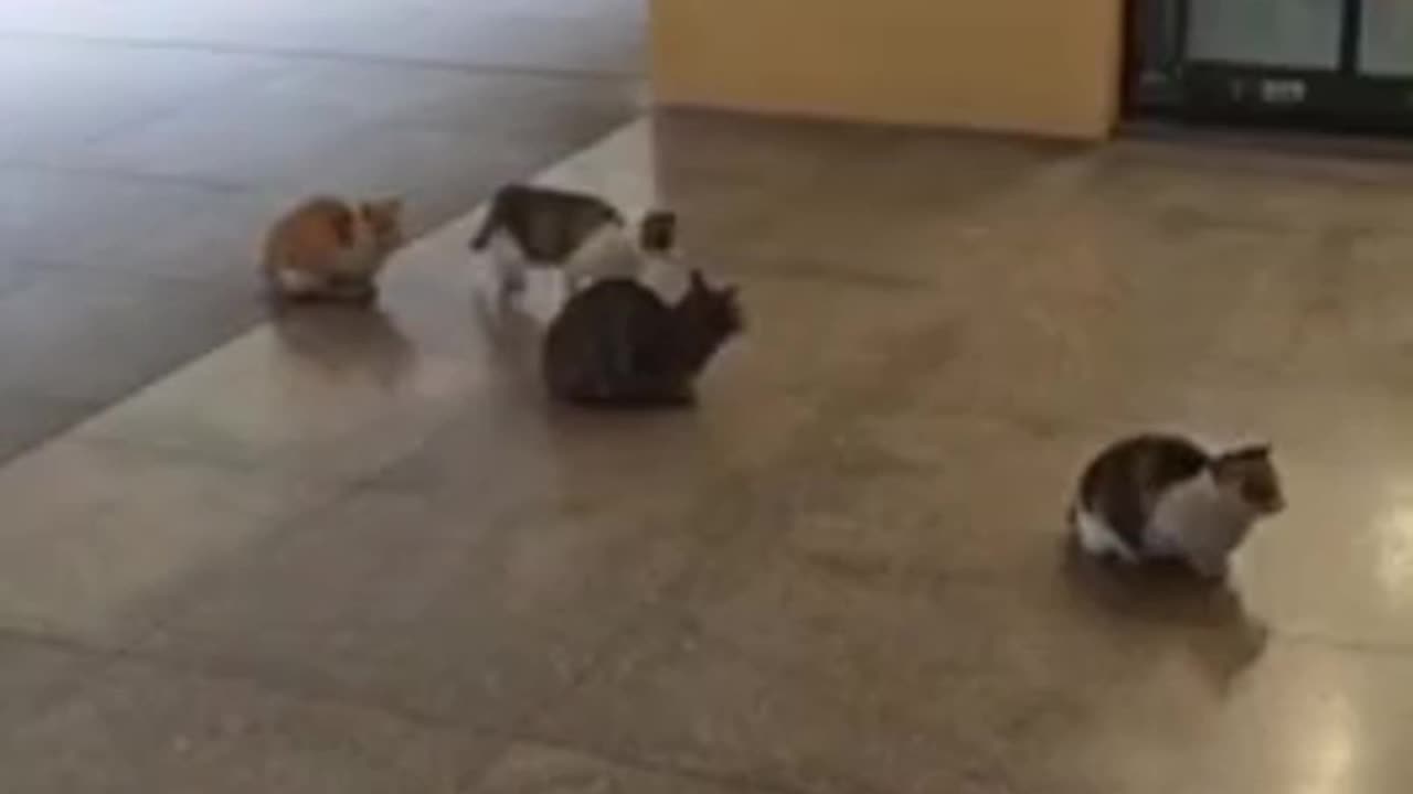 When someone tries to cut in line