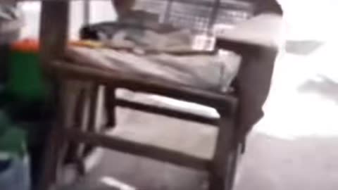 😱👻 What the Hell?! Terrifying Encounter | TheHauntingHour