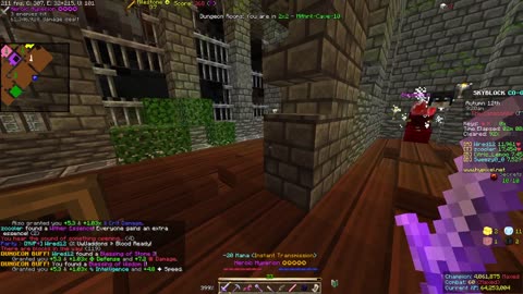 Skyblock FLOOR 7 [#1039]