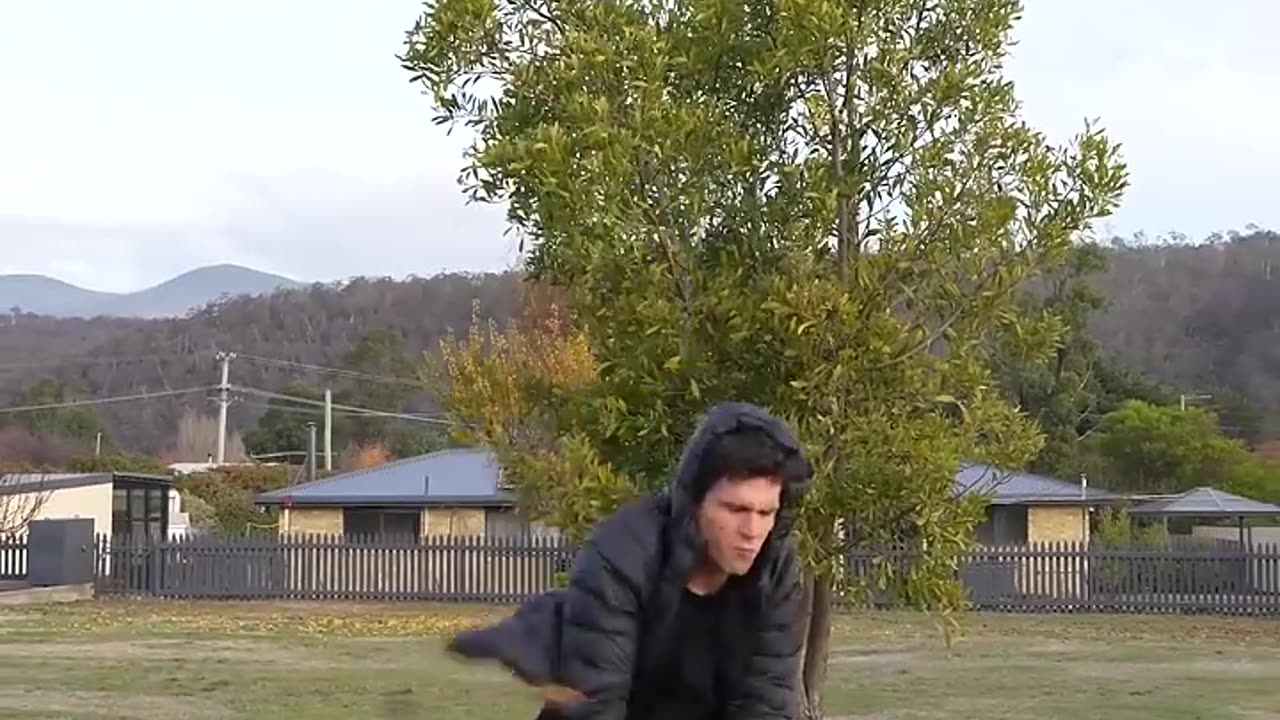 Real life vs AI