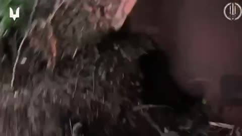 Ukrainian Marines Clear and Secure a Russian Trench Complex