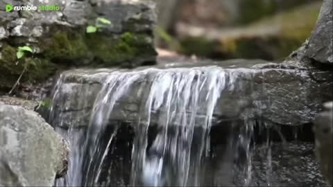 Calming the Mind to Become Clear