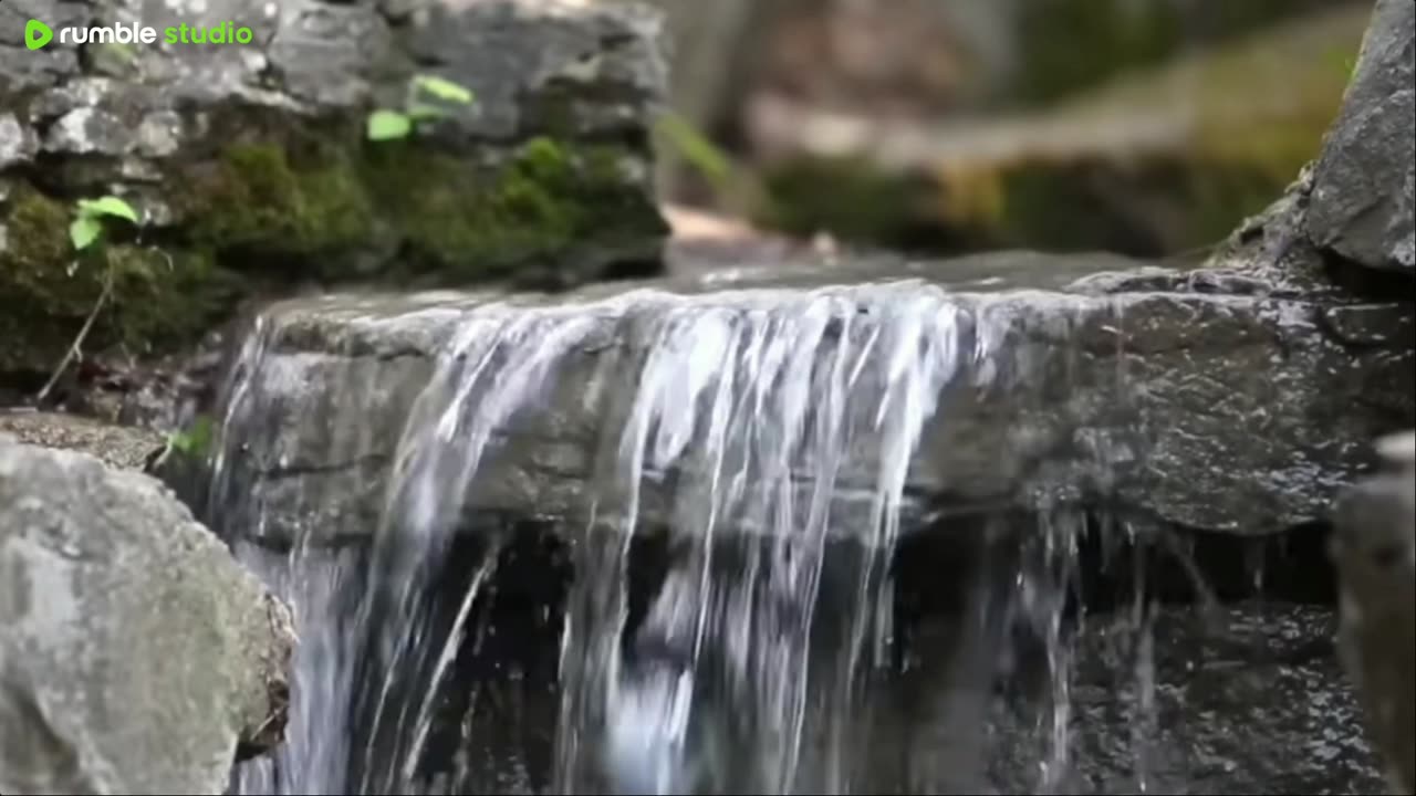 Calming the Mind to Become Clear