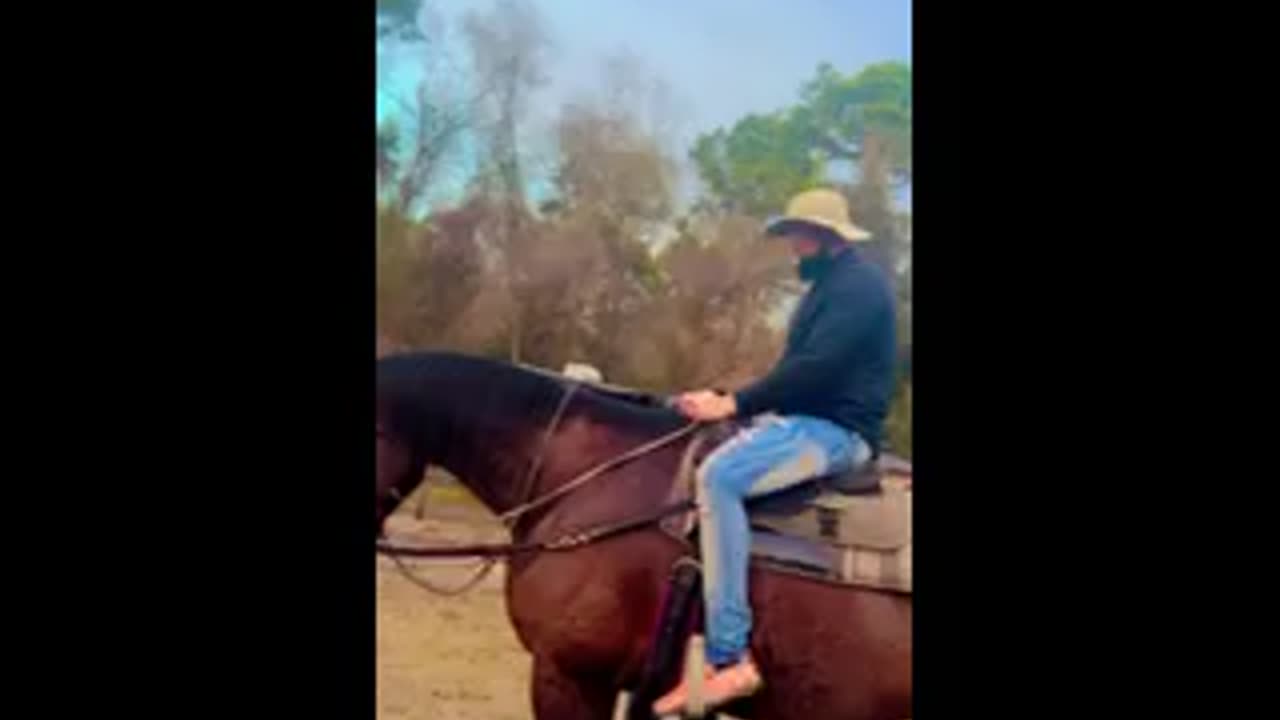Horse back riding