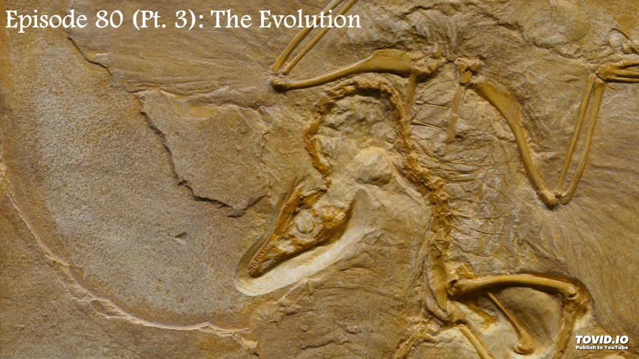Episode 80 (Pt. 3): The Evolution