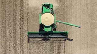 US soybean farmers are hurting as China halts purchases