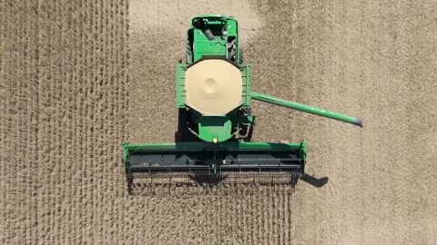 US soybean farmers are hurting as China halts purchases