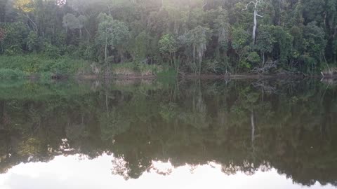 11.12.2025 The Barron River, Kuranda