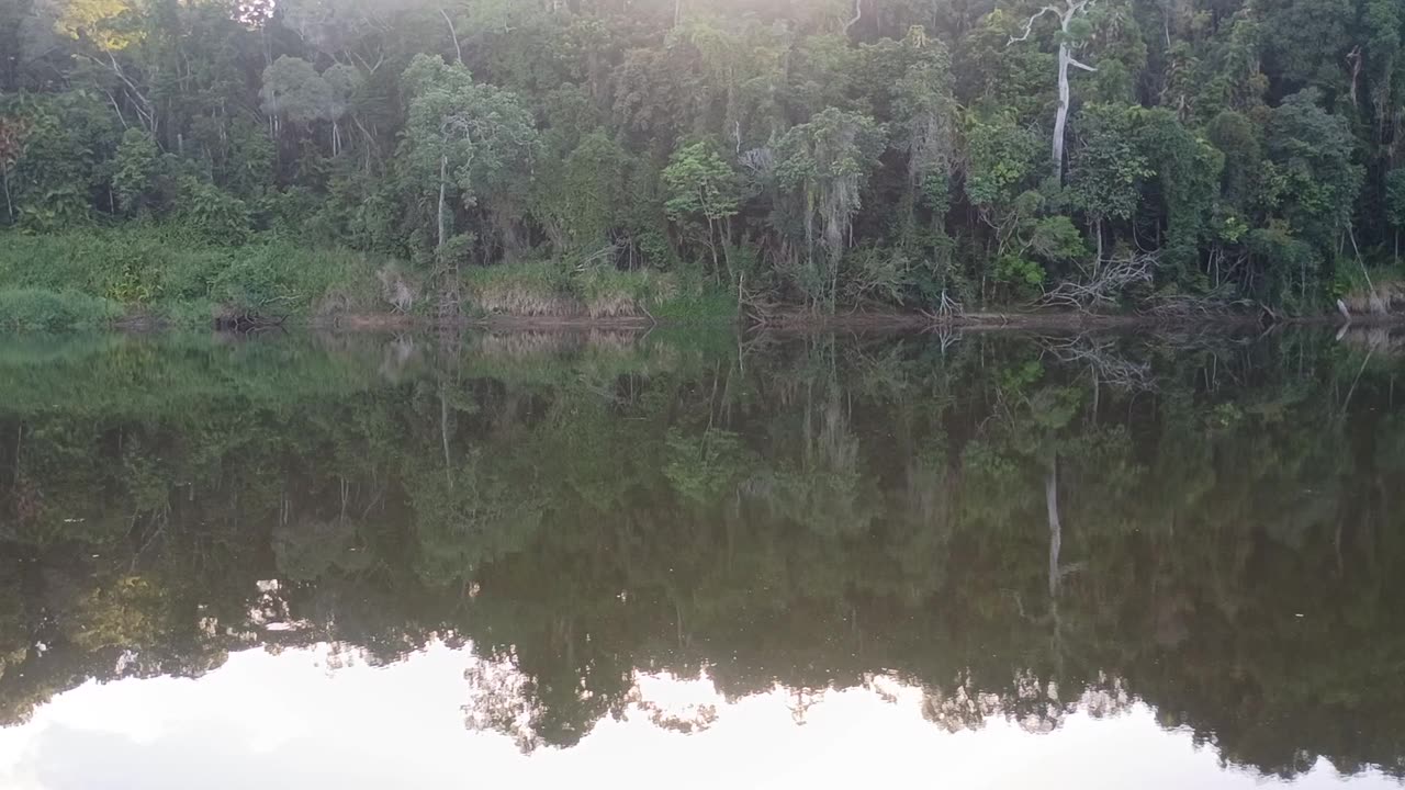 11.12.2025 The Barron River, Kuranda