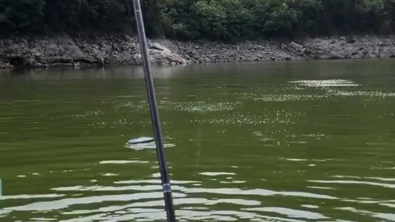 The Fun of Fishing: A Funny Moment with a Tiny Fish!