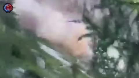 Most Unbelievable Nature Moments Ever Caught