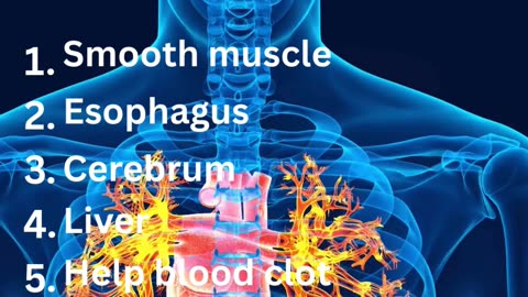 Quick Fire Quiz|Anatomy