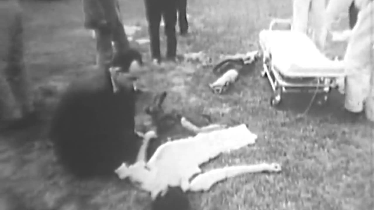 Iranian Student Dem... - Iranian Student Demonstration at the White House - gov.archives.arc.1600885