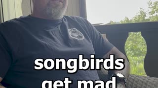 Hummingbirds