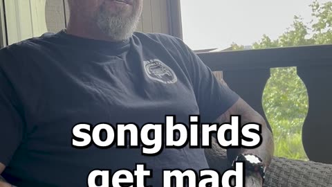 Hummingbirds