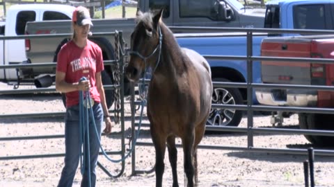 Skipper Calder & Cowboy-up Ministry bring horse training with a message at 11am.