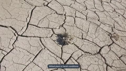 Resurrection and Renewal