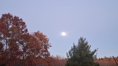 Why is the moon looking like the sun??