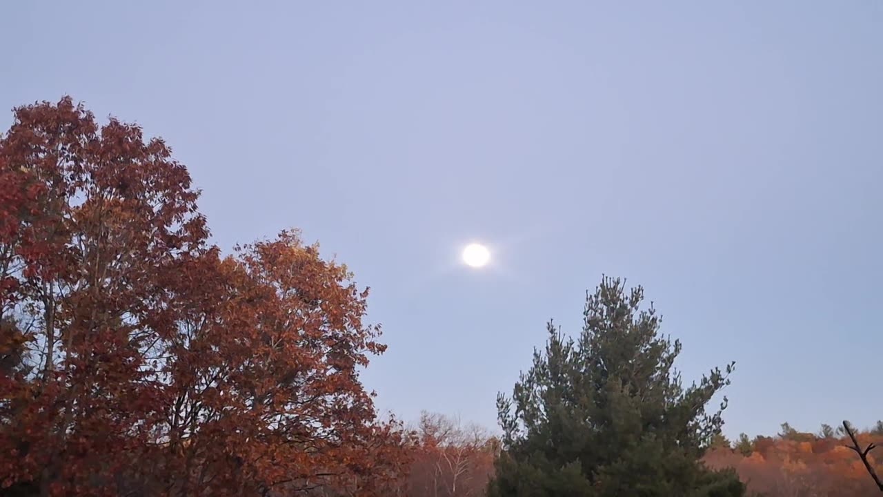 Why is the moon looking like the sun??