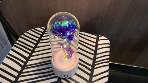 “2-in-1 Rose LED Light & Bluetooth Speaker – Perfect Valentine’s Gift 🌹💡🎶”