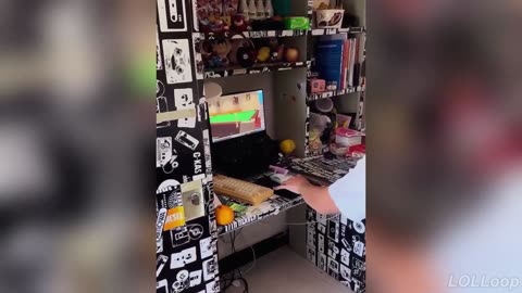 Best Funny Videos 😂 2025 Try Not To Laugh Compilation!