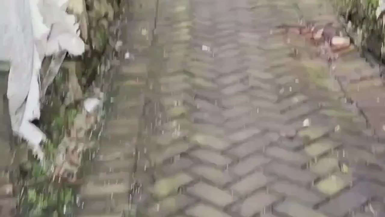 Going to farm