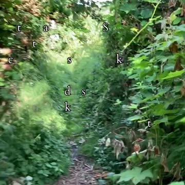 Rediscover Your True Light | Path and Tarot Reading