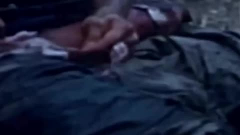 Politics - Military November 11 Ronald Reagan Veterans Day Message True Today