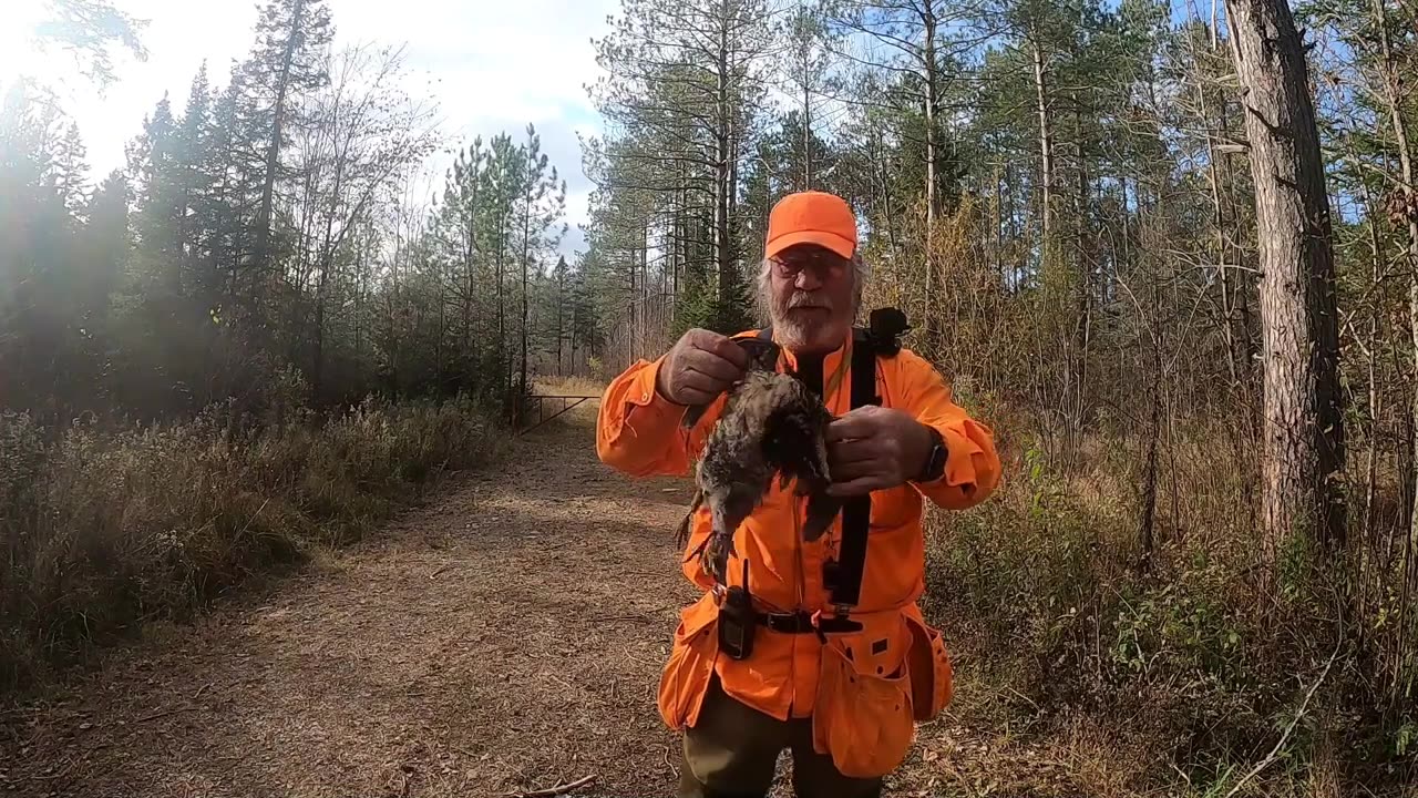 Wisconsin 2021 Grouse Hunting with Ace Episode 12