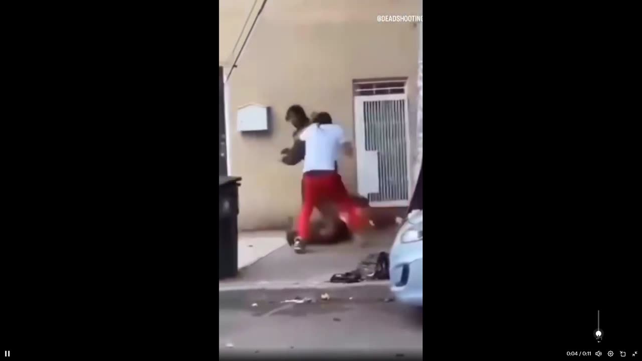 Victim of robbery shoots the animals - what do you think? Fast 11 secs