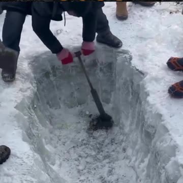 Wherever this is they need democracy