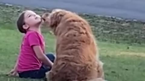 The Best Friends Girl And Dog