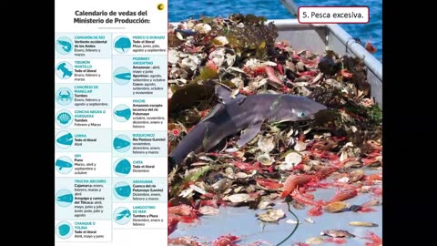 SAVIA REGULAR 2025 | Semana 14 | Geografía