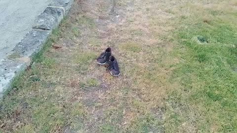 In South Fremantle, shoes were placed across road from where others were left before