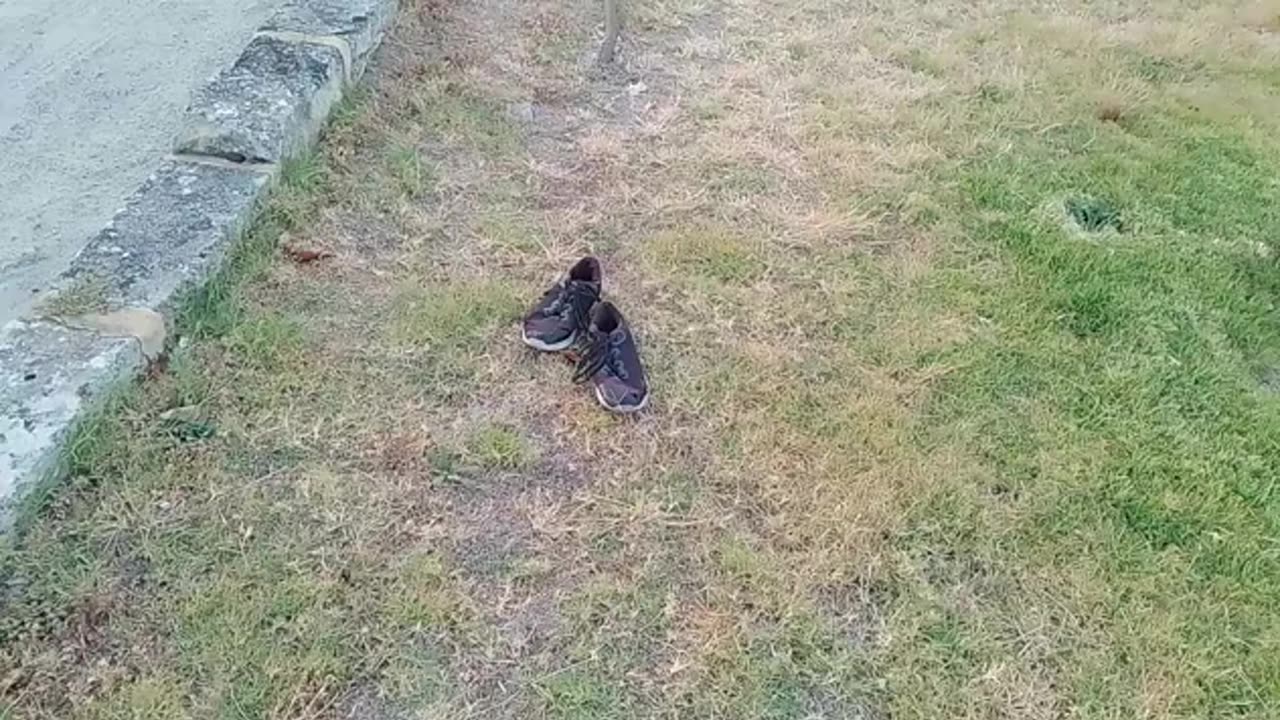 In South Fremantle, shoes were placed across road from where others were left before